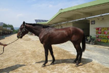 ��������̽� ����