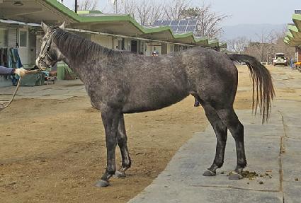 ȣ�����̽� ����