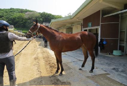 �����ǿ��̽� ����