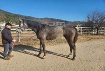 �����̸�� (PRAY MORE) ����