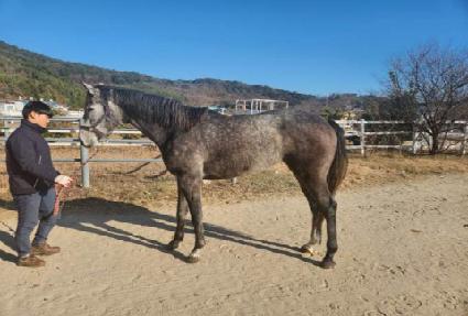 �����̸�� ����