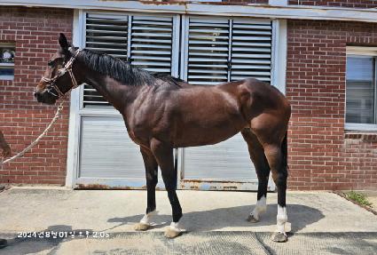 �轺�� ����