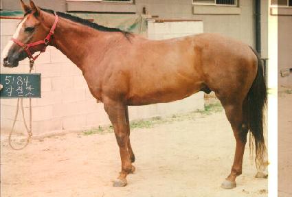 ��ĥ�� ����