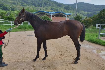 �ٺ���� ����