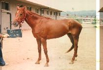 �ý��� (SYSTEM) ����