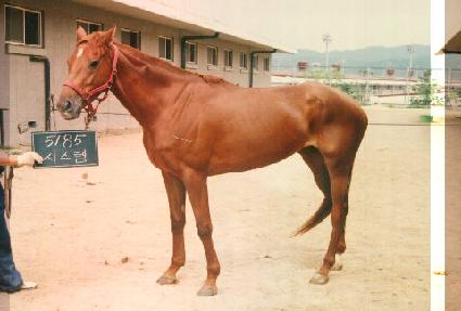 �ý��� ����