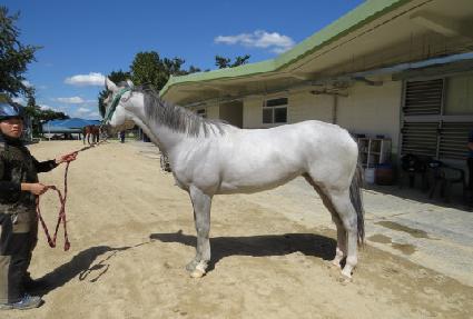 �ö���ü��Ű ����