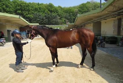 ���ŷ ����