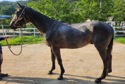 ����è�Ǿ� ����