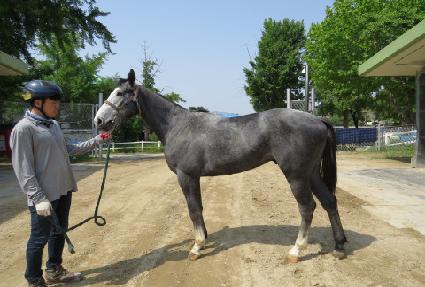 �۷ι����� ����