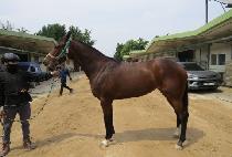 ���ʹ׿��� (STUNNING WORLD) ����