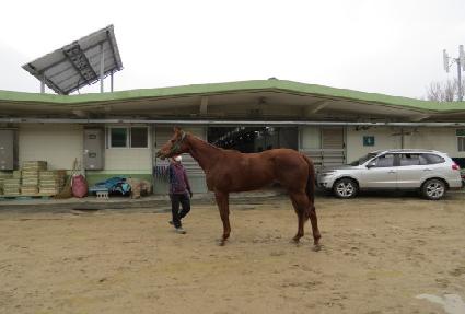 Ʈ�����ȸ��� ����