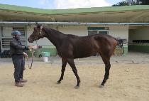 �������� (SAMJEONG WINNER) ����