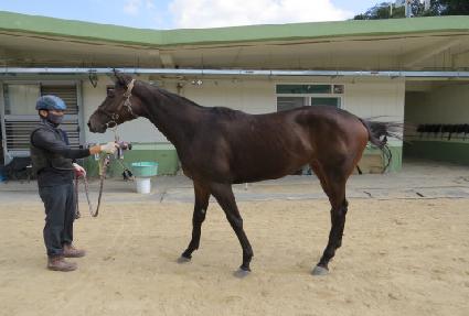 �������� ����