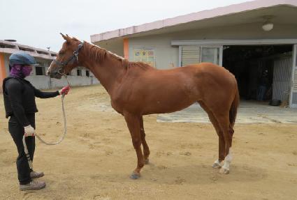 �Ļ��� ����