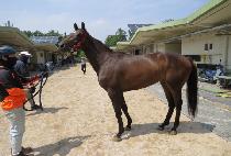 ����ť�ǵ� (CHARMING CUPID) ����