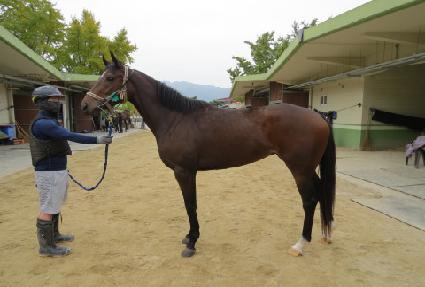 ���Ľ���Ʈ ����