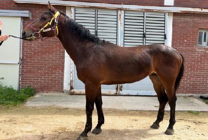 �Ͽ����Ŀ ����