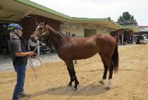 ���̼��� (NAMCHON SERVE) ����