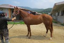 �ູ�ѽº� (HAENGBOKHAN SEUNGBU) ����