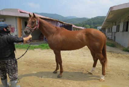 �ູ�ѽº� ����