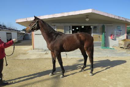 �������� ����