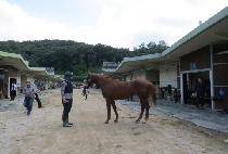 ���ϳ���� (MANI NODAGI) ����