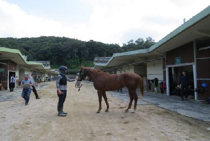 ���ϳ���� ����