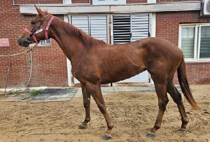 �����̽� ����