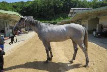 ȭ�������� (HWARANGSAN JEONGGI) ����