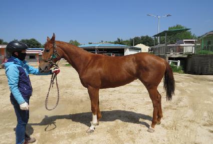 �����̷��� ����