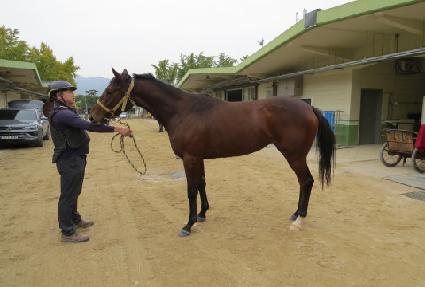 ������ ����