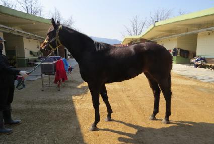 ��Ʈ������ ����