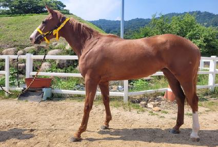 �����ø� ����