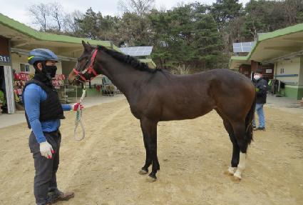 �����ϴ� ����