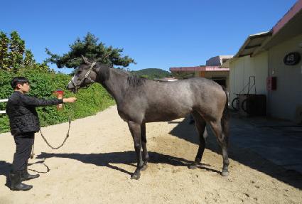 ������ũ ����