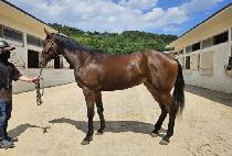 �ٶ������� (BARAM TODAY) ����