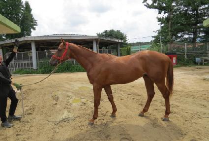 �Ƹ�õ�� ����