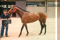 ���� (JI PYOUNG SEUN) ����