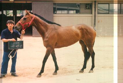 ���� ����