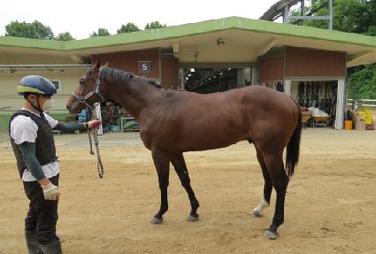 ���̻��̸� ����