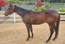 ���¸� (OPEN MAN) ����