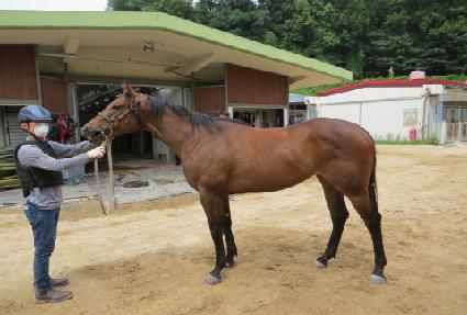 ũ���������� ����