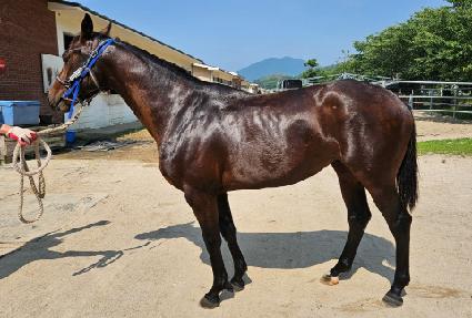 ��罺�� ����