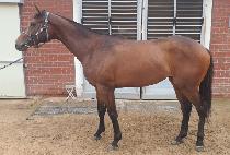 ��������Ʈ (SEKWANG LIGHT) ����