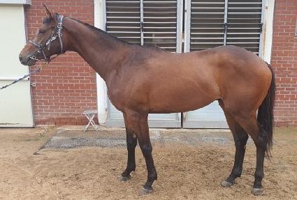 ��������Ʈ ����