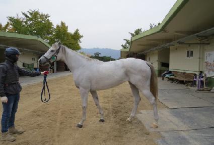 ���彺�� ����