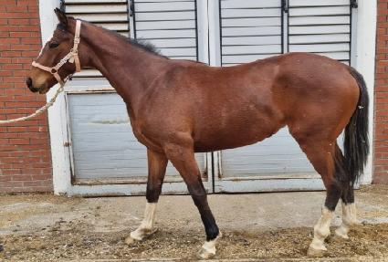 �׸����� ����