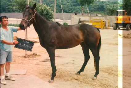 �����̳� ����