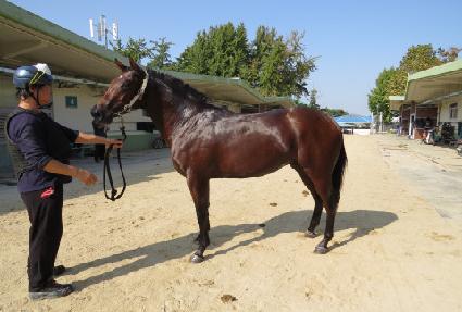 �������� ����